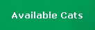 Available Cats